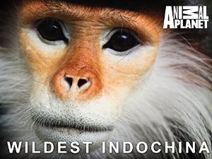 Wildest Indochina