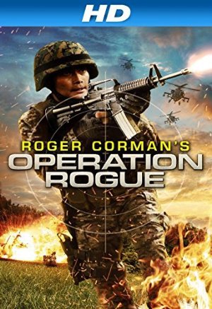 Operation Rogue