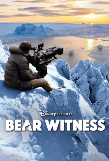 Bear Witness